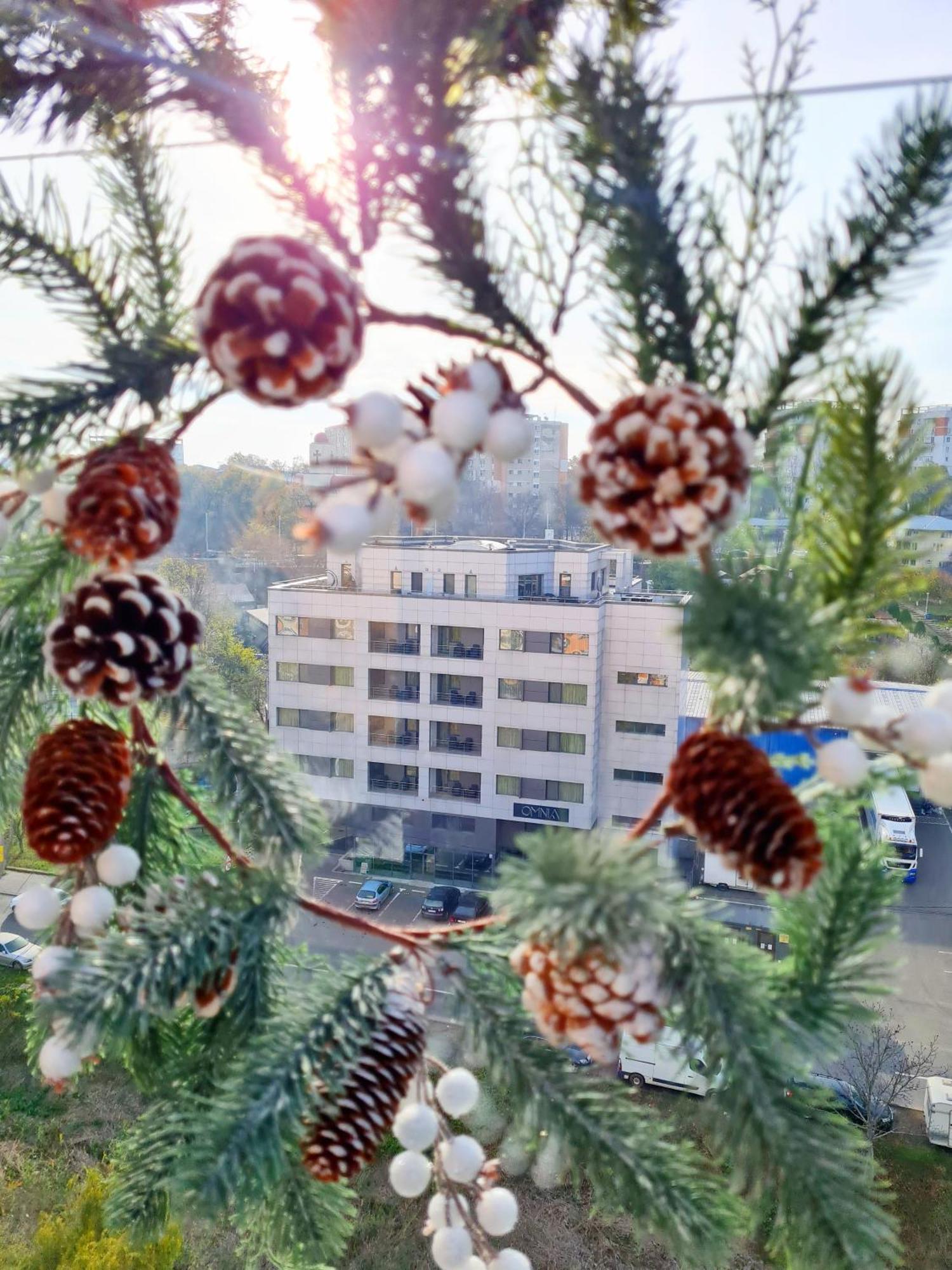 Apartament Penthouse Aeroport Jassy Zewnętrze zdjęcie