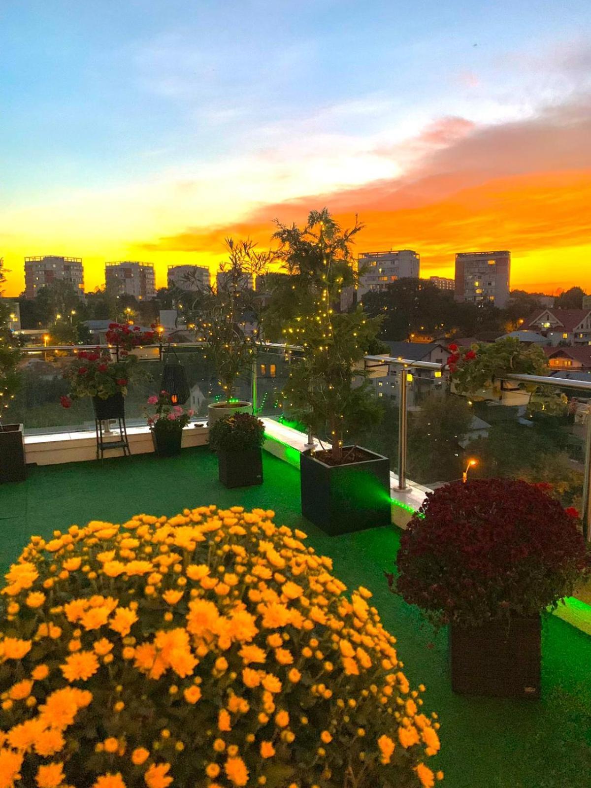 Apartament Penthouse Aeroport Jassy Zewnętrze zdjęcie